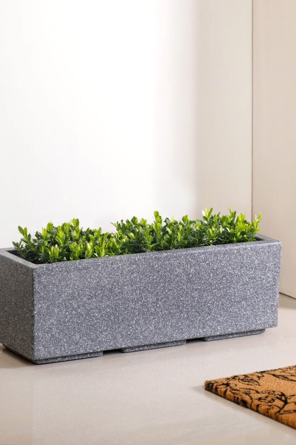 Planterra Modern Grey Trough Planter 24x8 Inch