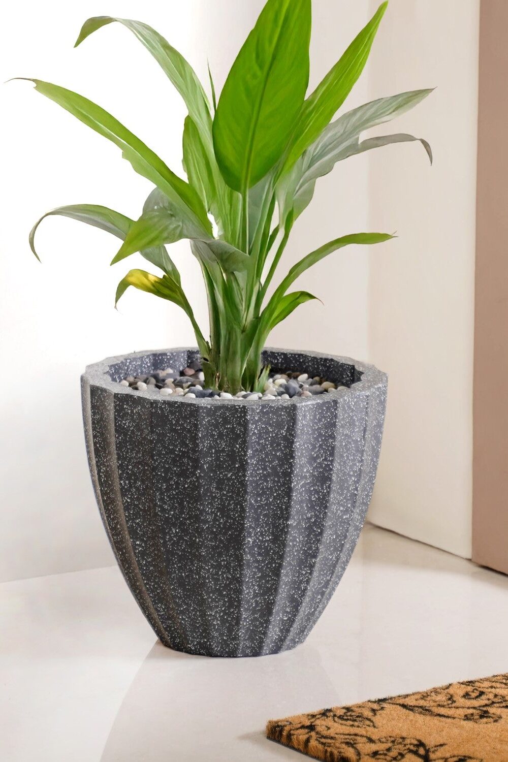 Planterra Ribbed Black Planting Pot 12x12 Inch