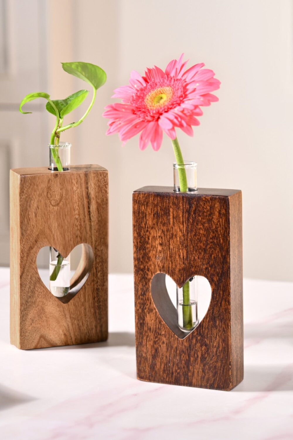 Heart Shaped Planter Pair With Removable Test Tubes
