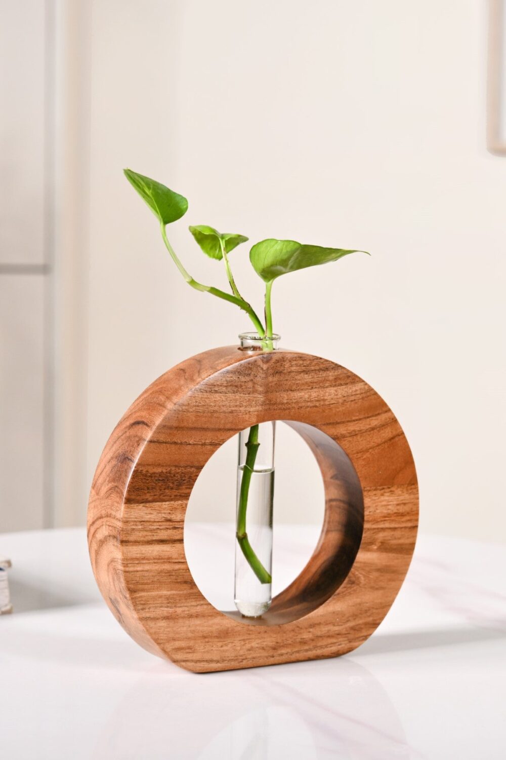 Ring Table Top Test Tube Wooden Vase